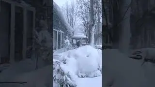 Trucks Completely Covered By Snow In Buffalo NY Blizzard
