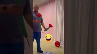 has anyone seen the other rose?