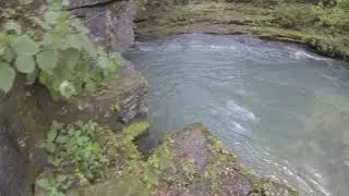 Greer Spring