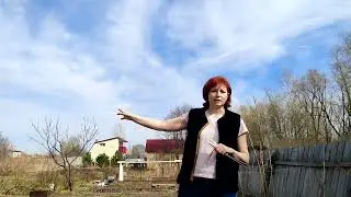 Дневник. Обрабатываю сад от болезней. Ищу подземную речку!