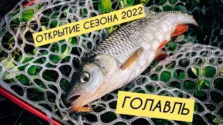 ОТКРЫЛ ГОЛАВЛЕВЫЙ СЕЗОН 2022