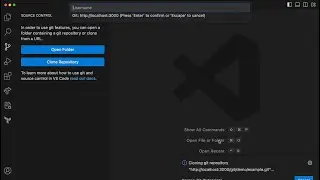 Gitness Visual Studio Code Demo