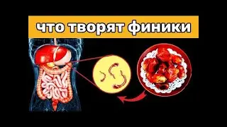 Всего ТРИ Финика в день запустят необратимые процесс...