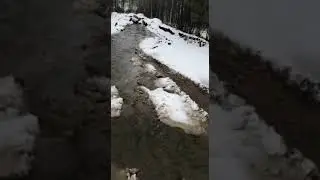 Решили подсолить салонцы съездить!!!!