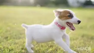 милашки😘