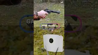 The GAMO PR-776 CO2 Revolver Airgun