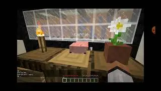 три кошака смотрят майнкрафи и играют в