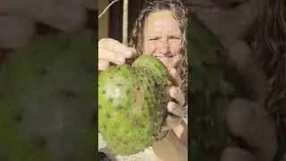 Wie schmeckt eigentlich Soursop?