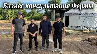 Молодые Бизнесмены///Консультация Большого Папы///Мясо на Афганском Казане