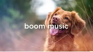 [No copyright] cute background music - cute bgm