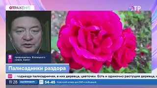 Константин Крохин: Кто и как может благоустраивать территорию?
