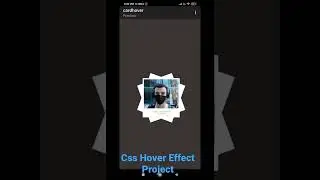 Css  Hover Effect Projects 🔥🔥 | 