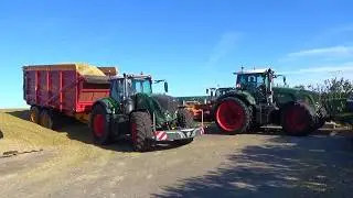 2025 Altena corn silage