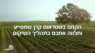 החיוך עוד יחזור לשדה