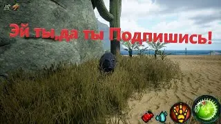 Beasts of Bermuda - Новое обновление