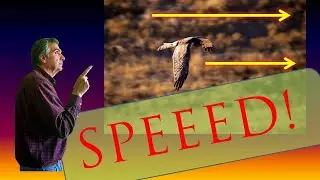 Photoshop MOTION BLUR : Give your photos a sense of SPEED