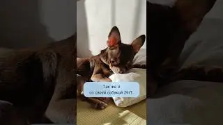 Евридэй💞 