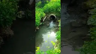 عين كفركنا غزيرة وجميلة 2024