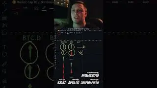 🟢 Что такое доминация биткоина и как она коррелируется с альтами 🟢  