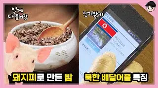 북한에도 배달어플이 있다고? 신기한 북한 음식문화 TOP5 3탄 [빠퀴2tv]