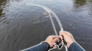 Mifine ILLUSION Slash testas. Avižadrebis upėje!