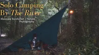 Solo Tarp Camping | Malaysia Rainforest ASMR | Heavy Rain + Flash Flood | Nature Photography