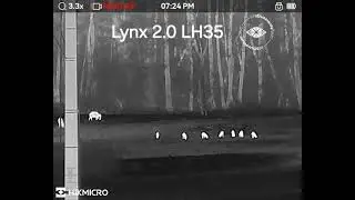 Hikmicro Lynx 2.0 LH35