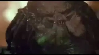 Matt likes Movies