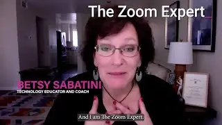 How did the Zoom Playground come to be?