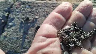 золота нет, - так хоть серебро