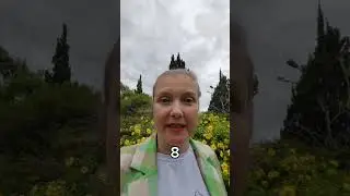 Курс по родовым расстановкам 