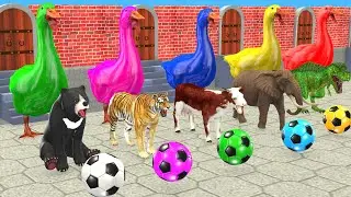 5 Giant Duck Cartoon Cow, Elephant, Tiger, Dinosaur Kick the Ball and Change Color Wild Animals Game