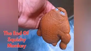 The End Of Squishy Monkey 🥺