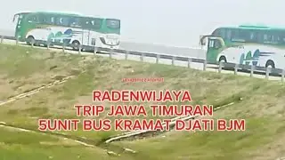 RADENWIJAYA‼️Bus pariwisata Kramat Djati Bjm Trip Jawa Timuran