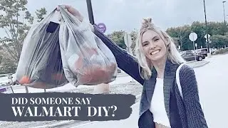 SISTER & I ROAD TRIP TO WALMART