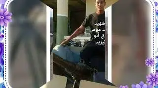 شهده مصر الابطال