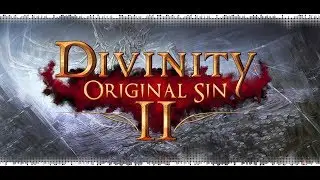 Divinity: OS II [Доблесть\Соло маг\2 акт] - 11