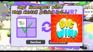 BIGGEST WIN 😍😱 I HAVE EVER DONE FOR A GOLDEN RAT ONLY 🤩😲 *5 BIG WINS* Adopt Me - Roblox