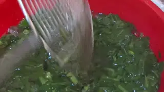 طريقه تخزين السبانخ بطريقة صحية مهم