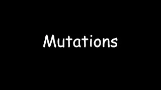 Mutations | High-School Intro Biology