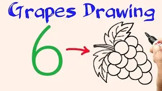 How To Draw Grapes With Number 6 l Grapes Drawing Easy Step By Step For Beginners | Angur Ka Chitra