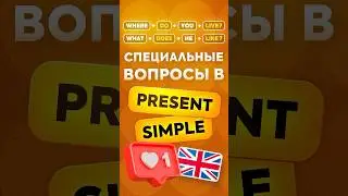 Как образуются специальные вопросы в Present Simple и что это такое? Грамматика английского языка