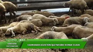 KAHRAMAN AİLESİNİN İŞLETMESİNE KONUK OLDUK | ADIM ADIM HAYVANCILIK