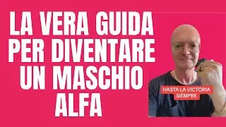 La vera guida per diventare un maschio alfa: 10 segreti che non ti dicono