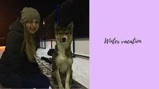 VLOG // Зимние каникулы