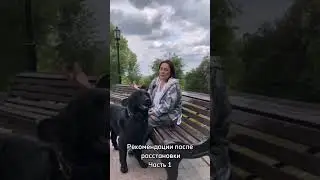 Рекомендации после расстановки. Часть 1 #расстановки #расстановкионлайн #психология