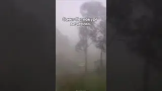 Переменчивая погода Петербурга