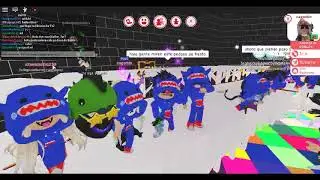 la fiesta de los tiburones JAJAJA