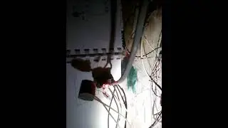 Деление самоиндукции на две неонки