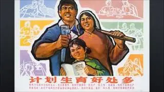 China - Anti natalist policy (One Child Policy)